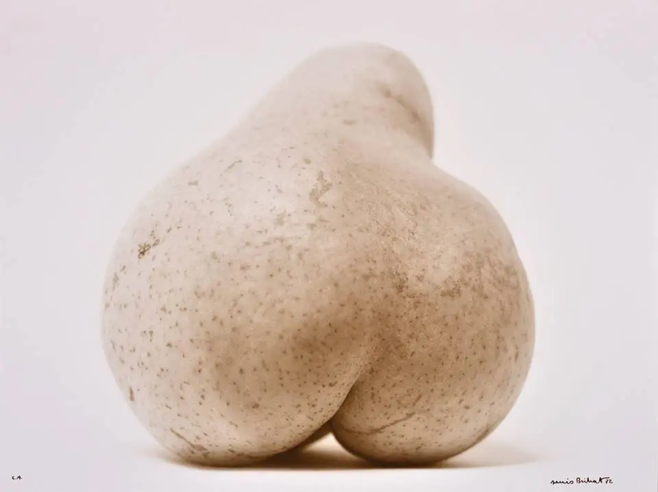 photographie d'une poire, tirage Denis Brihat