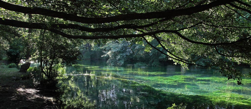 L’Isle-sur-la-Sorgue : où l’art rencontre l’art de vivre